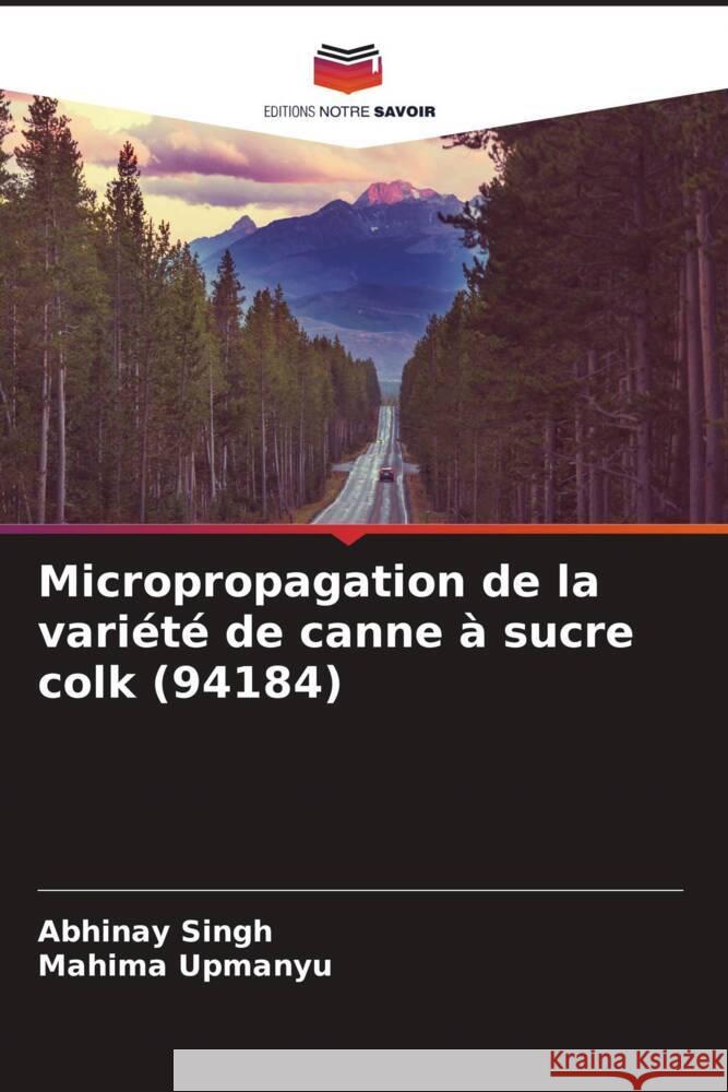 Micropropagation de la variété de canne à sucre colk (94184) Singh, Abhinay, Upmanyu, Mahima 9786204520155 Editions Notre Savoir