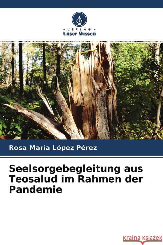 Seelsorgebegleitung aus Teosalud im Rahmen der Pandemie López Pérez, Rosa María 9786204520988