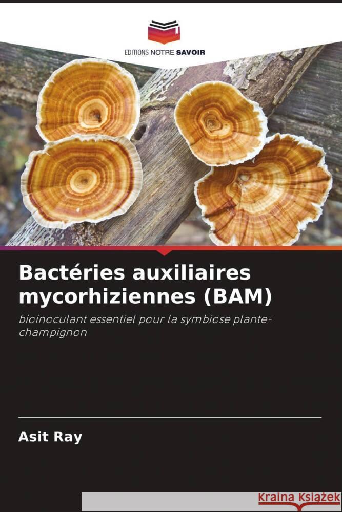 Bactéries auxiliaires mycorhiziennes (BAM) Ray, Asit 9786204534671