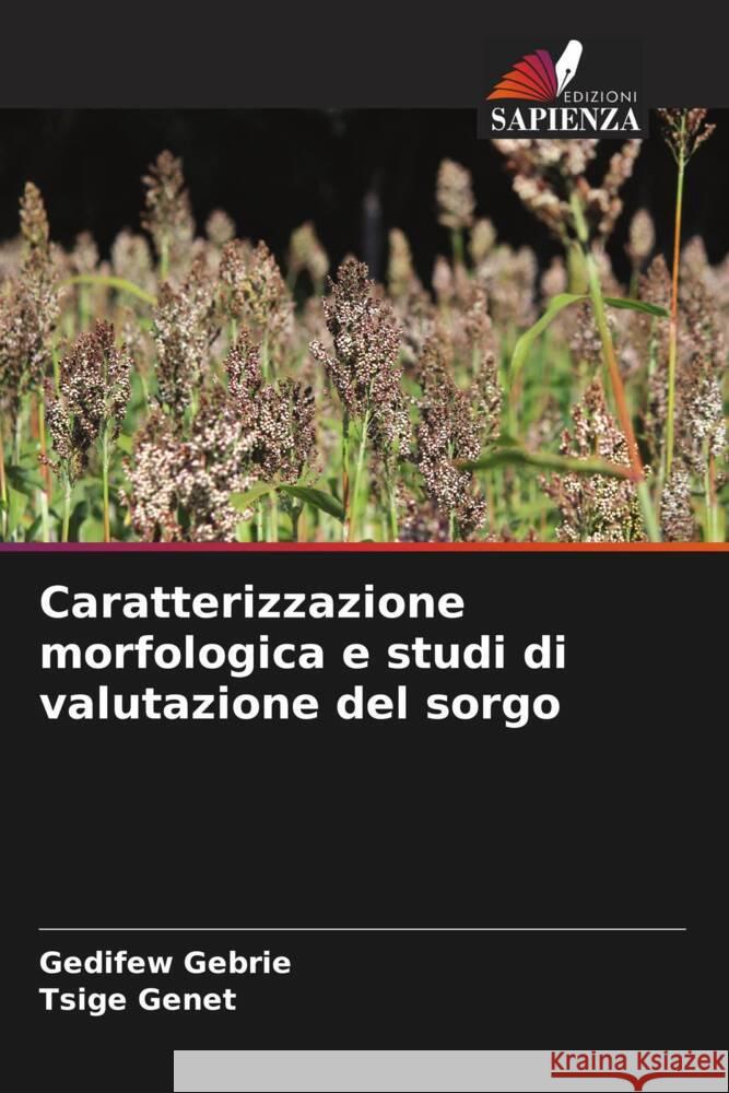 Caratterizzazione morfologica e studi di valutazione del sorgo Gebrie, Gedifew, Genet, Tsige 9786204538693