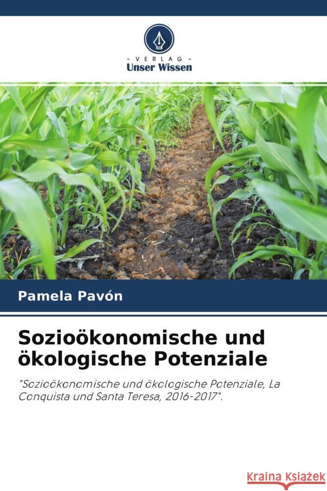 Sozioökonomische und ökologische Potenziale Pavón, Pamela 9786204548616