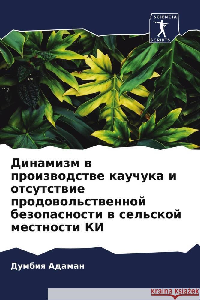 Dinamizm w proizwodstwe kauchuka i otsutstwie prodowol'stwennoj bezopasnosti w sel'skoj mestnosti KI Adaman, Dumbiq 9786204553139