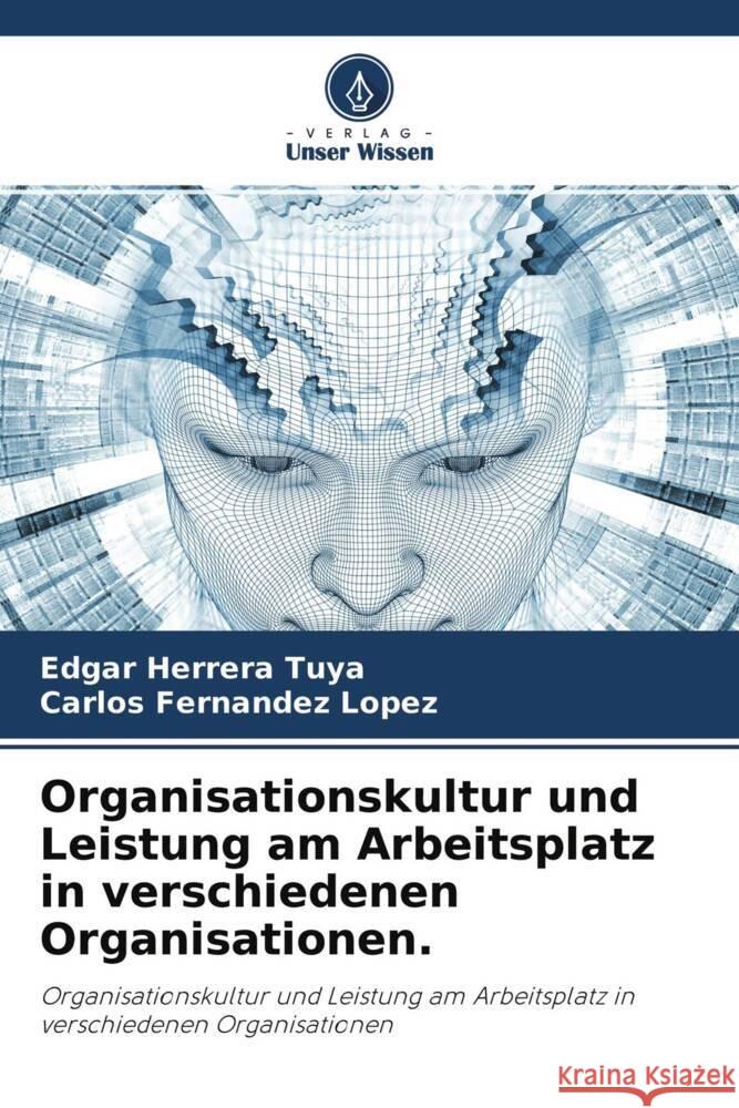 Organisationskultur und Leistung am Arbeitsplatz in verschiedenen Organisationen. Herrera Tuya, Edgar, Fernandez Lopez, Carlos 9786204557595