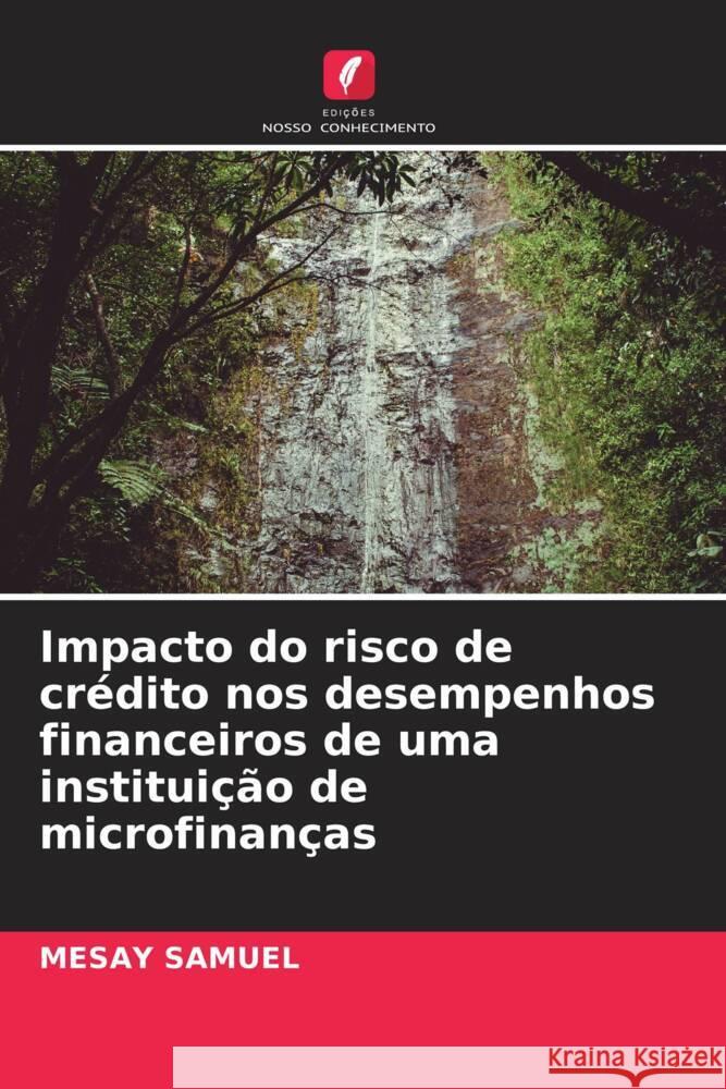 Impacto do risco de crédito nos desempenhos financeiros de uma instituição de microfinanças Samuel, Mesay 9786204561059