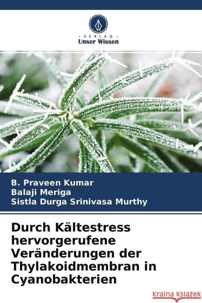 Durch Kältestress hervorgerufene Veränderungen der Thylakoidmembran in Cyanobakterien Praveen Kumar, B., Meriga, Balaji, Durga Srinivasa murthy, Sistla 9786204564005