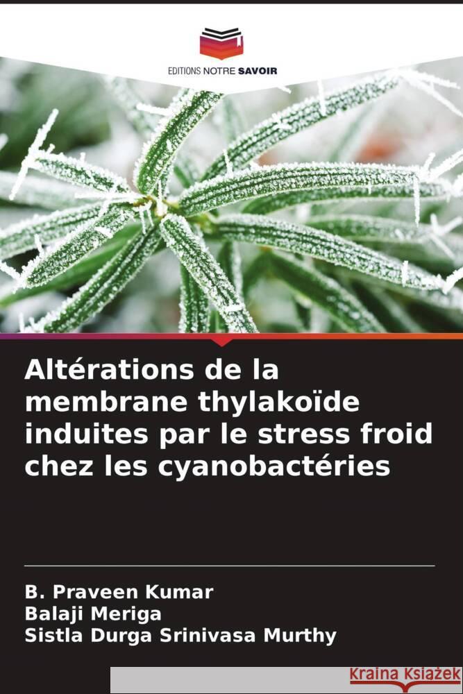 Altérations de la membrane thylakoïde induites par le stress froid chez les cyanobactéries Praveen Kumar, B., Meriga, Balaji, Durga Srinivasa murthy, Sistla 9786204564029