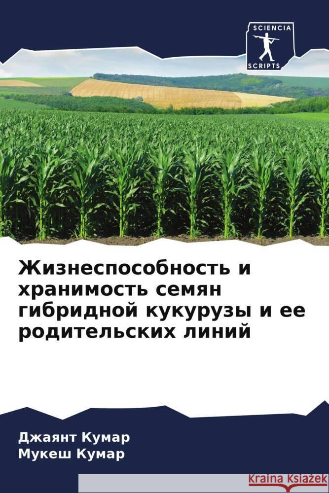 Zhiznesposobnost' i hranimost' semqn gibridnoj kukuruzy i ee roditel'skih linij Kumar, Dzhaqnt, Kumar, Mukesh 9786204568188 Sciencia Scripts