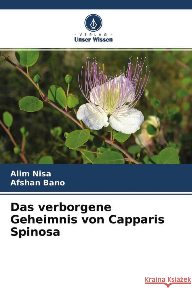 Das verborgene Geheimnis von Capparis Spinosa Nisa, Alim, Bano, Afshan 9786204580920