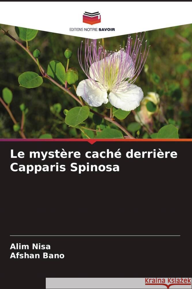 Le mystère caché derrière Capparis Spinosa Nisa, Alim, Bano, Afshan 9786204580944