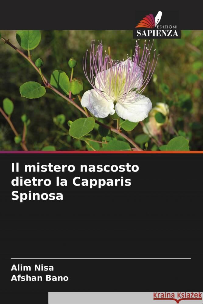 Il mistero nascosto dietro la Capparis Spinosa Nisa, Alim, Bano, Afshan 9786204580951