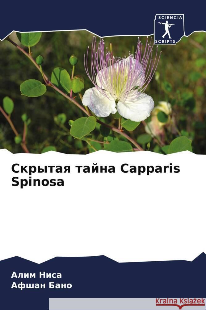 Skrytaq tajna Capparis Spinosa Nisa, Alim, Bano, Afshan 9786204580975