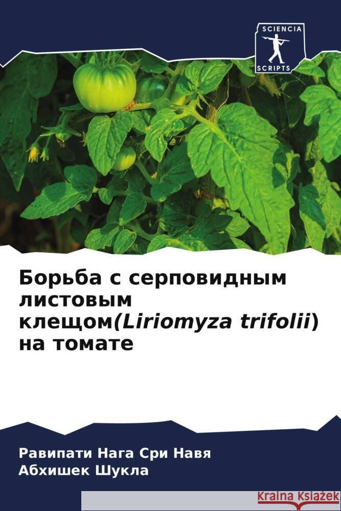 Bor'ba s serpowidnym listowym kleschom(Liriomyza trifolii) na tomate Nawq, Rawipati Naga Sri, Shukla, Abhishek 9786204594385 Sciencia Scripts