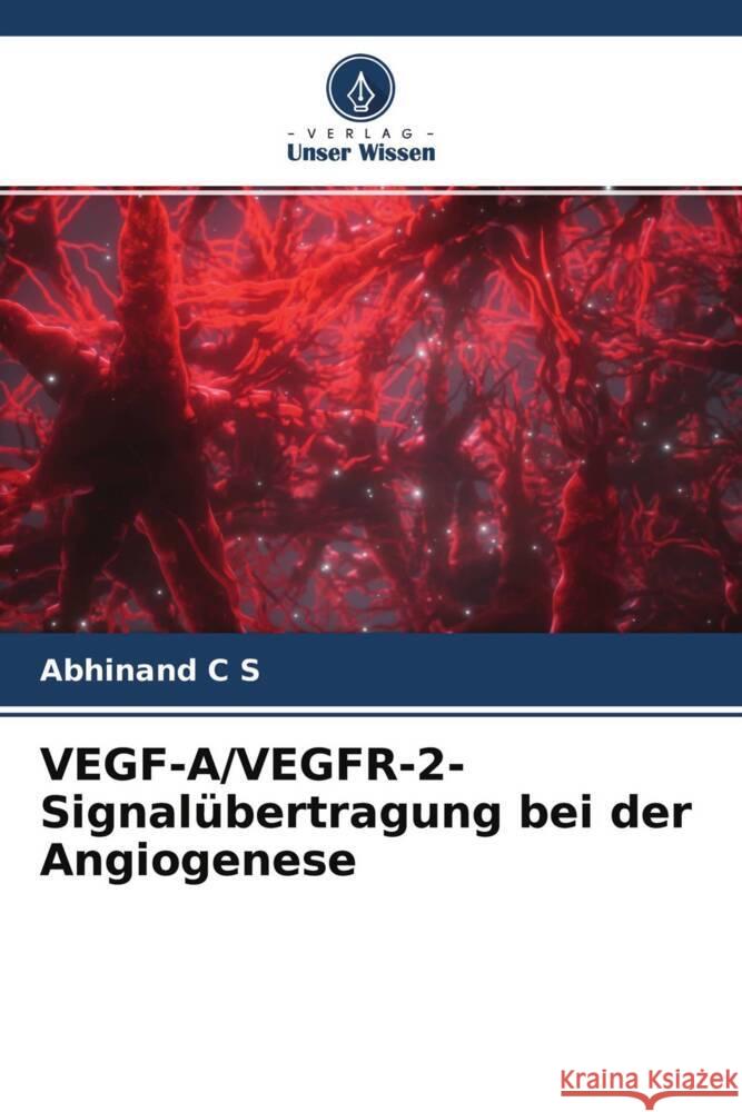 VEGF-A/VEGFR-2-Signalübertragung bei der Angiogenese C S, Abhinand 9786204601243