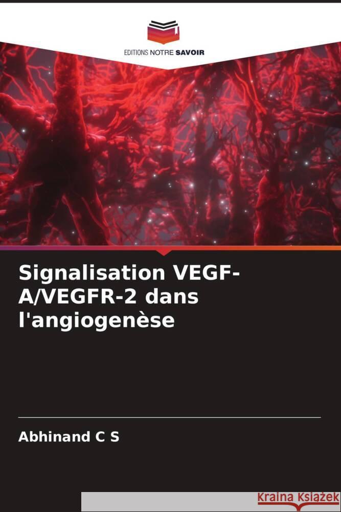 Signalisation VEGF-A/VEGFR-2 dans l'angiogenèse C S, Abhinand 9786204601267