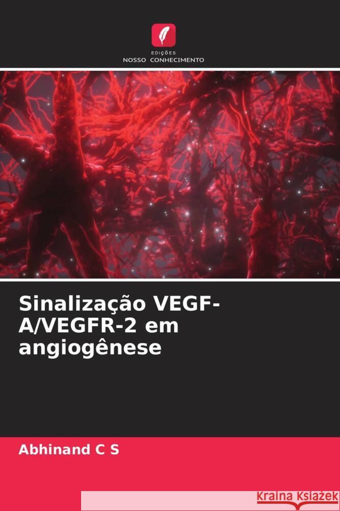 Sinalização VEGF-A/VEGFR-2 em angiogênese C S, Abhinand 9786204601281