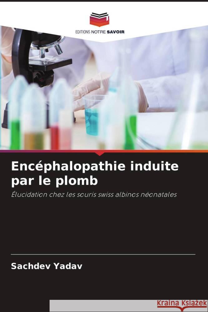 Encéphalopathie induite par le plomb Yadav, Sachdev 9786204603124