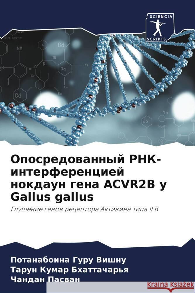 Oposredowannyj RNK-interferenciej nokdaun gena ACVR2B u Gallus gallus Guru Vishnu, Potanaboina, Bhattachar'q, Tarun Kumar, Paswan, Chandan 9786204612799