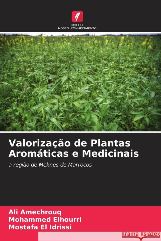 Valorização de Plantas Aromáticas e Medicinais Amechrouq, Ali, Elhourri, Mohammed, El Idrissi, Mostafa 9786204615608