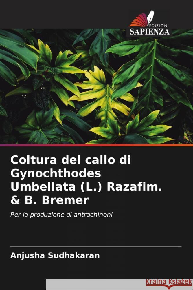 Coltura del callo di Gynochthodes Umbellata (L.) Razafim. & B. Bremer Sudhakaran, Anjusha 9786204618067