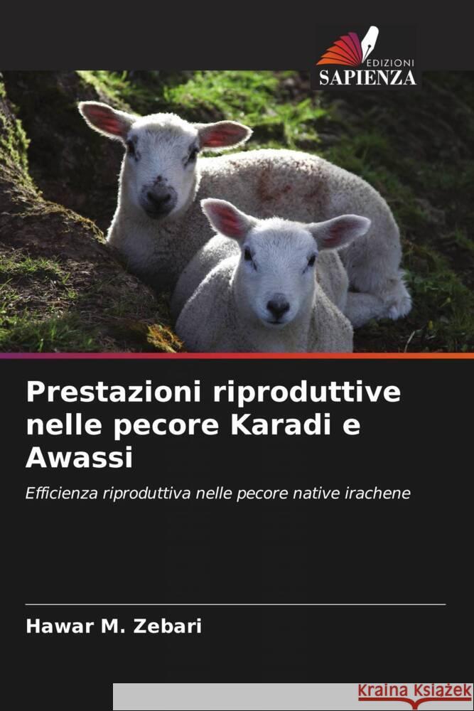 Prestazioni riproduttive nelle pecore Karadi e Awassi Zebari, Hawar M. 9786204619927 Edizioni Sapienza