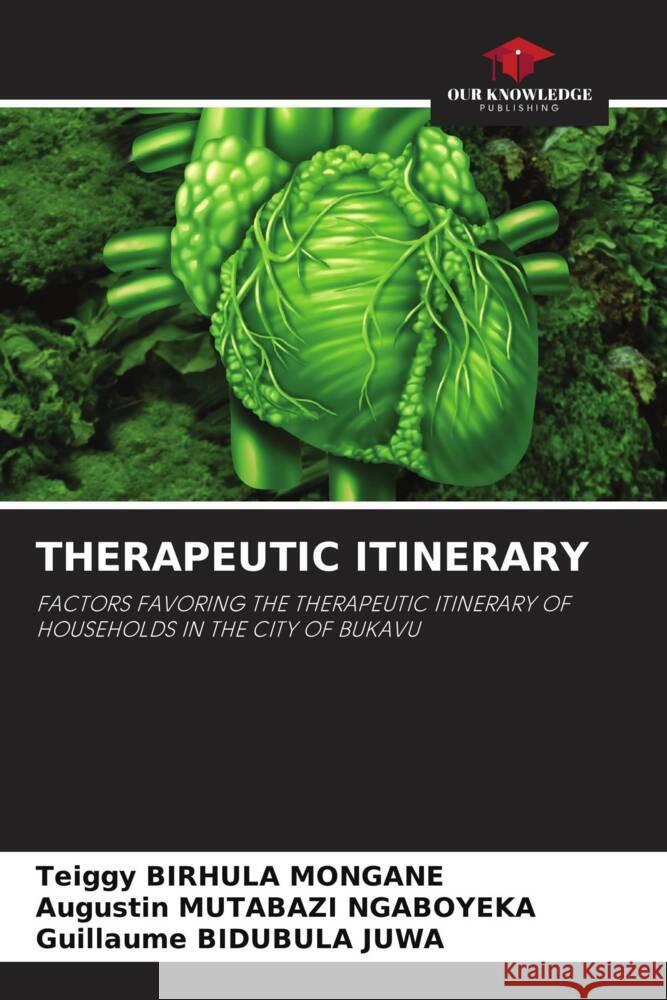 THERAPEUTIC ITINERARY BIRHULA MONGANE, Teiggy, MUTABAZI NGABOYEKA, Augustin, BIDUBULA JUWA, Guillaume 9786204628875