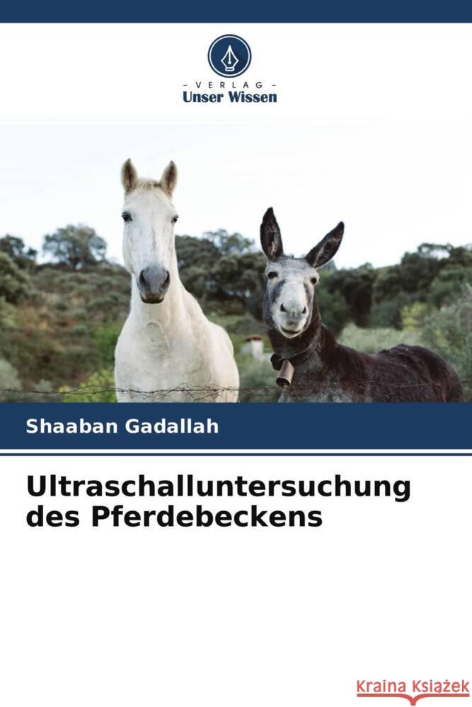 Ultraschalluntersuchung des Pferdebeckens Gadallah, Shaaban 9786204632285