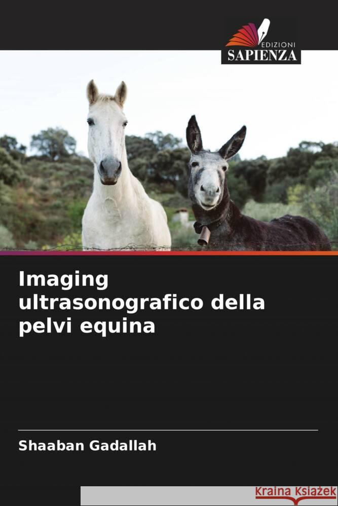 Imaging ultrasonografico della pelvi equina Gadallah, Shaaban 9786204632315