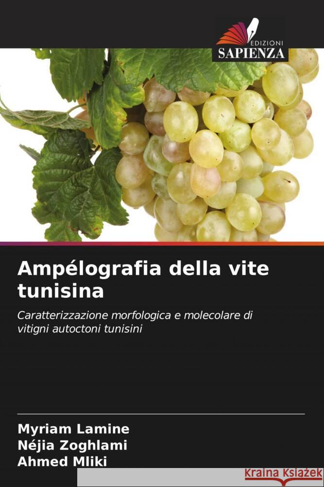 Ampélografia della vite tunisina Lamine, Myriam, Zoghlami, Néjia, Mliki, Ahmed 9786204651897 Edizioni Sapienza