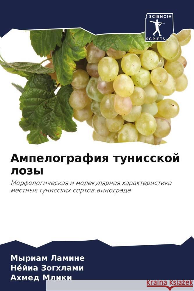 Ampelografiq tunisskoj lozy Lamine, Myriam, Zoghlami, Néjia, Mliki, Ahmed 9786204651903 Sciencia Scripts