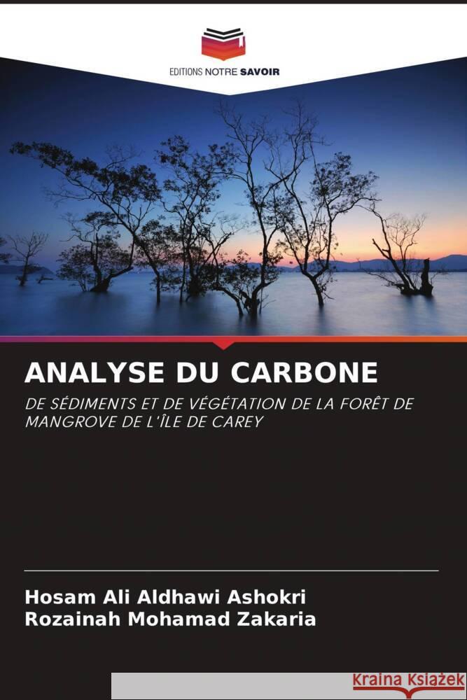 ANALYSE DU CARBONE Ali Aldhawi Ashokri, Hosam, Mohamad Zakaria, Rozainah 9786204653372