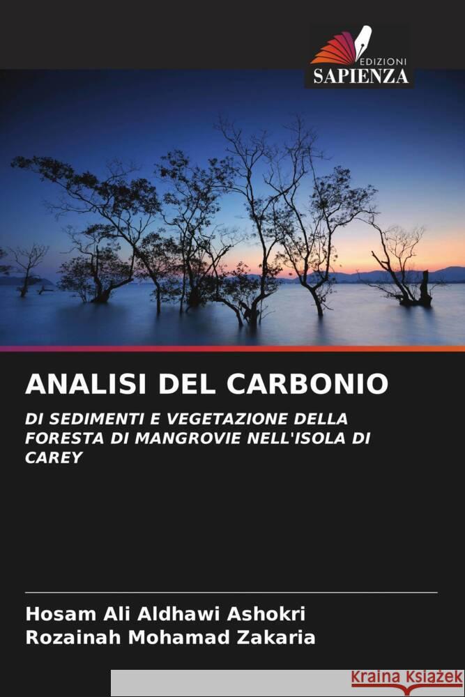 ANALISI DEL CARBONIO Ali Aldhawi Ashokri, Hosam, Mohamad Zakaria, Rozainah 9786204653389