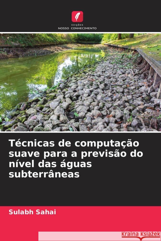 Técnicas de computação suave para a previsão do nível das águas subterrâneas Sahai, Sulabh 9786204667478