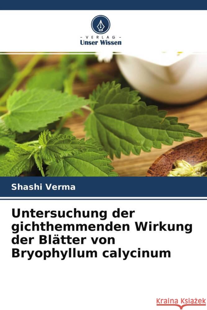 Untersuchung der gichthemmenden Wirkung der Blätter von Bryophyllum calycinum Verma, Shashi 9786204683614 Verlag Unser Wissen