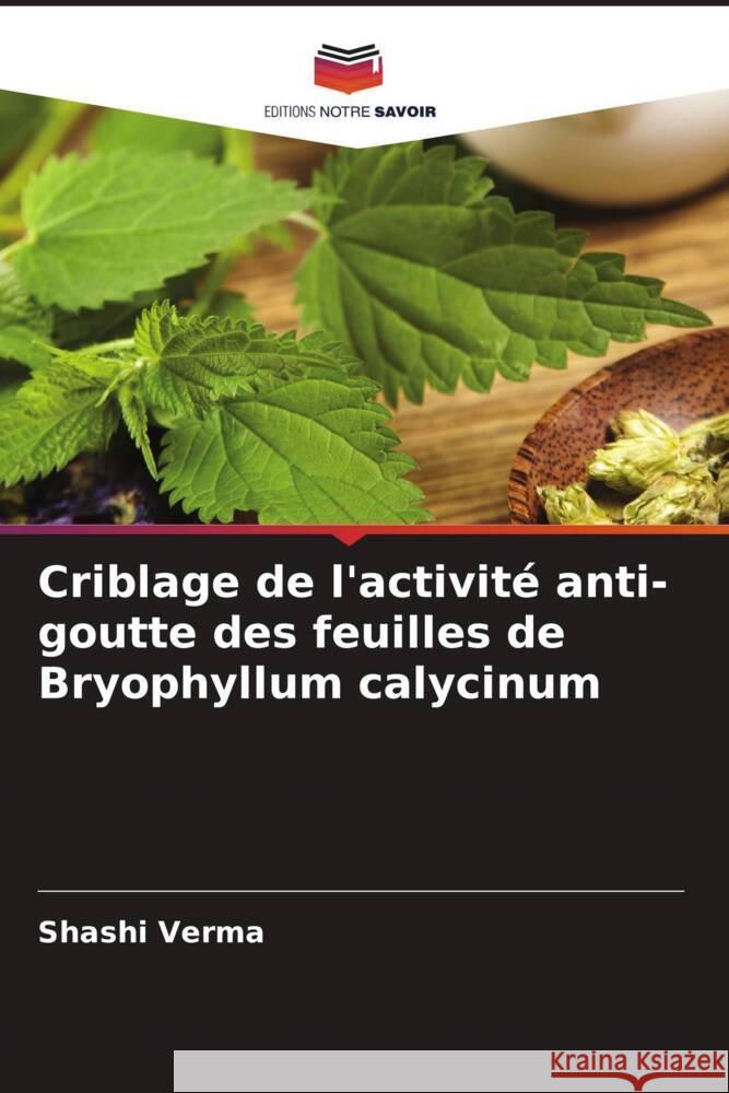 Criblage de l'activité anti-goutte des feuilles de Bryophyllum calycinum Verma, Shashi 9786204683638 Editions Notre Savoir