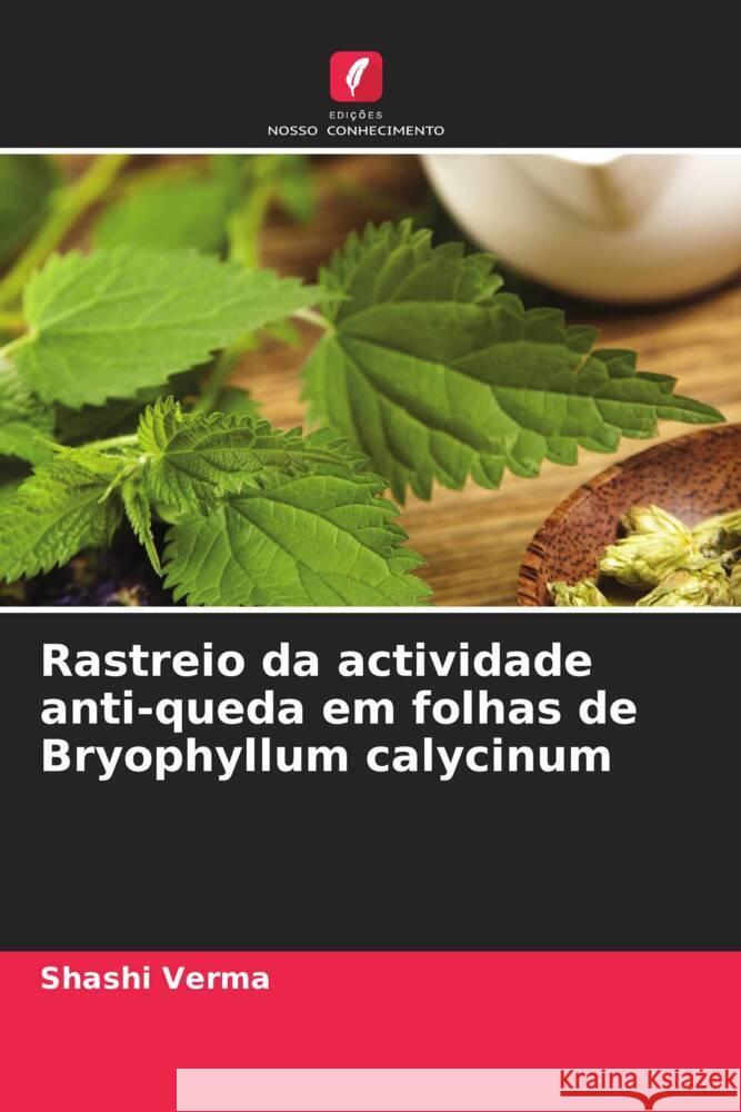 Rastreio da actividade anti-queda em folhas de Bryophyllum calycinum Verma, Shashi 9786204683652 Edições Nosso Conhecimento