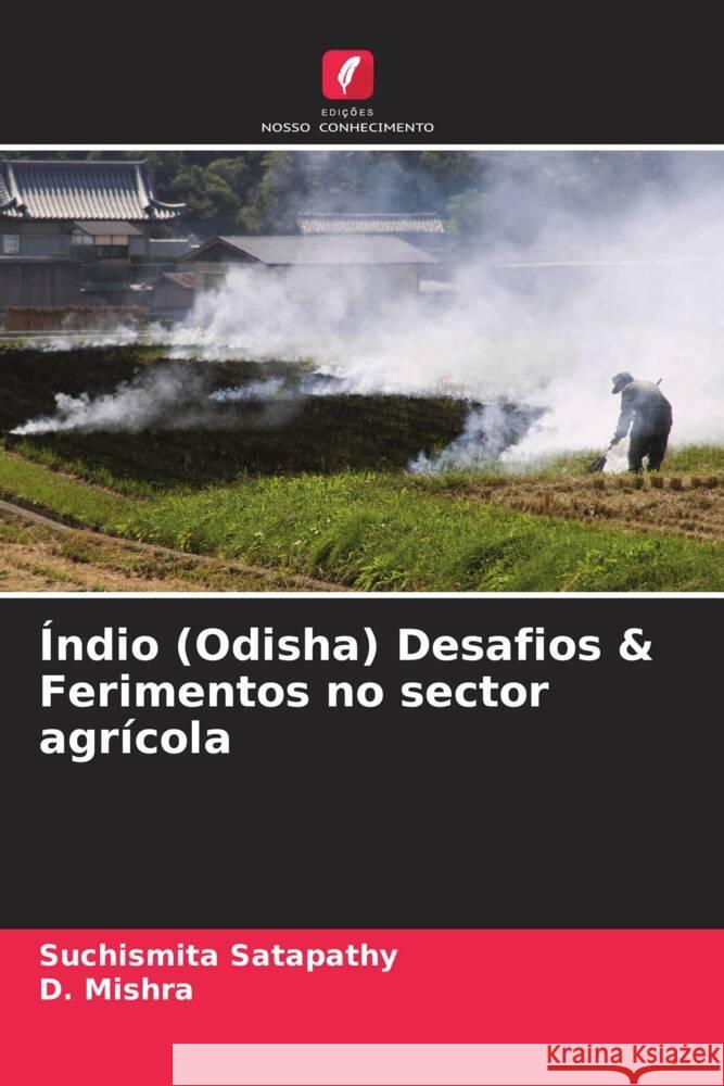 Índio (Odisha) Desafios & Ferimentos no sector agrícola Satapathy, Suchismita, Mishra, D. 9786204684918