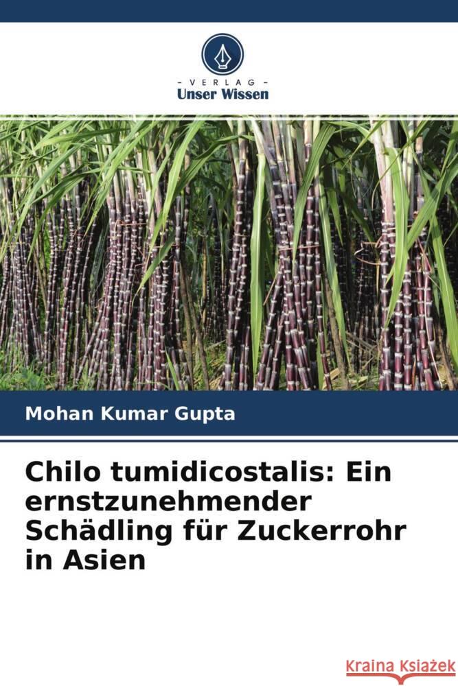 Chilo tumidicostalis: Ein ernstzunehmender Schädling für Zuckerrohr in Asien Gupta, Mohan Kumar 9786204692470