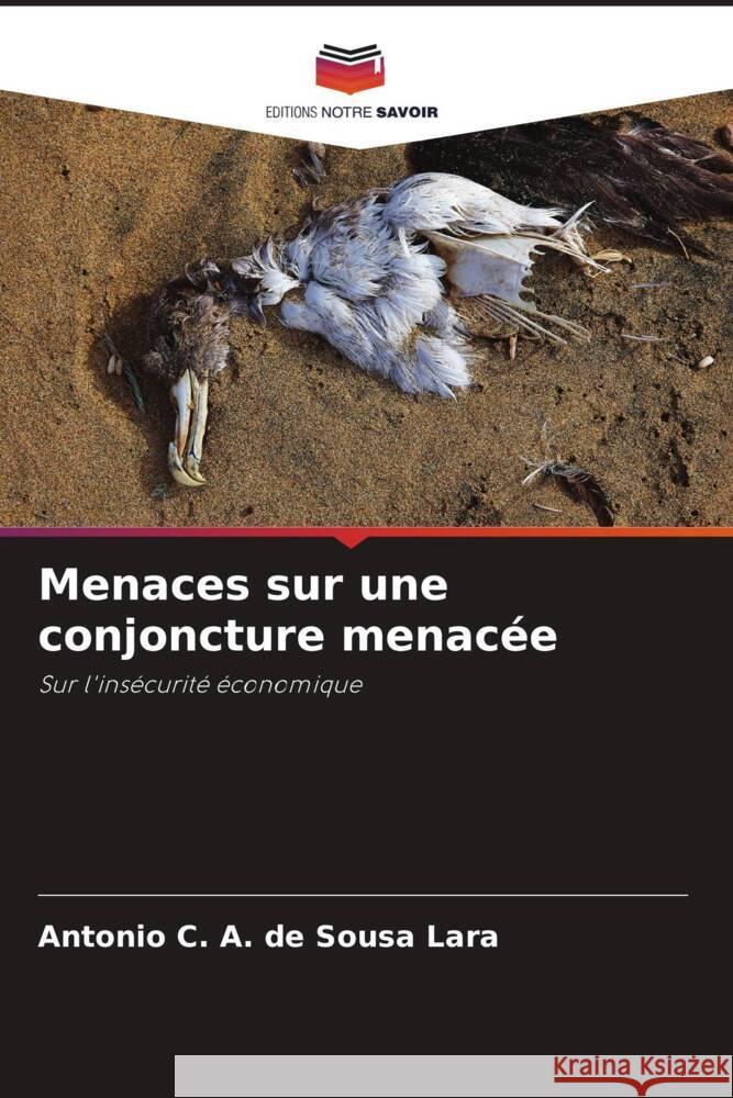 Menaces sur une conjoncture menacée C. A. de Sousa Lara, Antonio 9786204698823