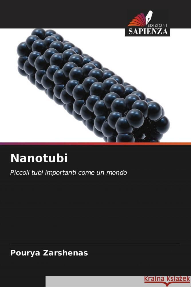 Nanotubi Zarshenas, Pourya 9786204700038 Edizioni Sapienza