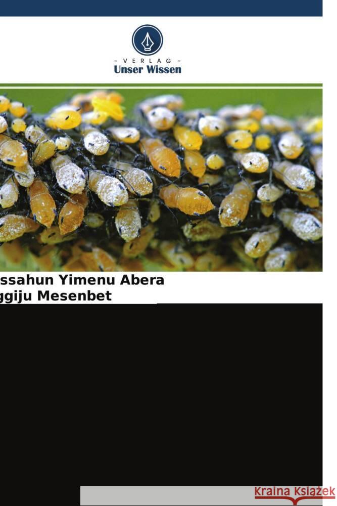 Botanische Bekämpfung der Kohlblattlaus Abera, Kassahun Yimenu, mesenbet, ziggiju 9786204703381 Verlag Unser Wissen