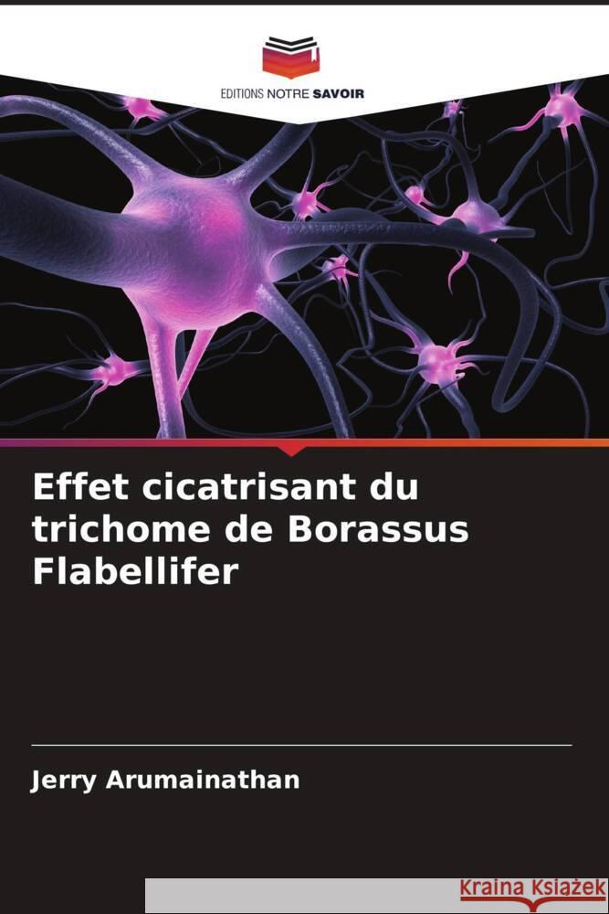 Effet cicatrisant du trichome de Borassus Flabellifer Jerry Arumainathan Poongothai Annadurai 9786204713403