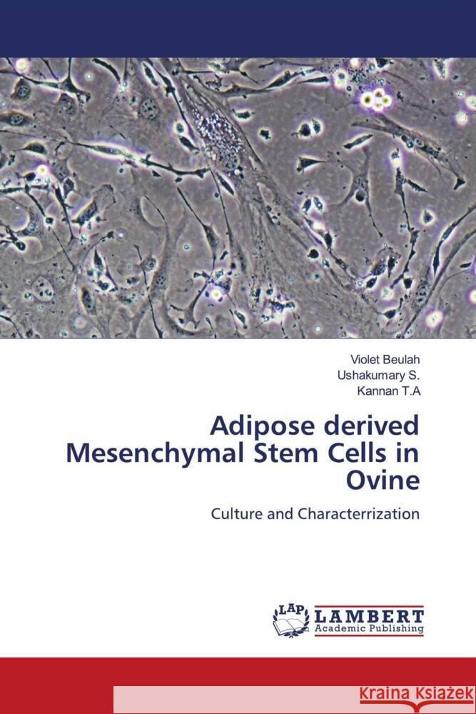 Adipose derived Mesenchymal Stem Cells in Ovine Beulah, Violet, S., Ushakumary, T.A, Kannan 9786204718613 LAP Lambert Academic Publishing