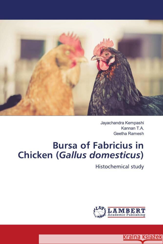 Bursa of Fabricius in Chicken (Gallus domesticus) Kempashi, Jayachandra, T.A., Kannan, Ramesh, Geetha 9786204718804