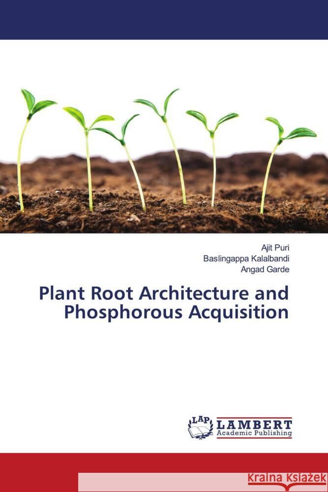 Plant Root Architecture and Phosphorous Acquisition Puri, Ajit, Kalalbandi, Baslingappa, Garde, Angad 9786204718958 LAP Lambert Academic Publishing