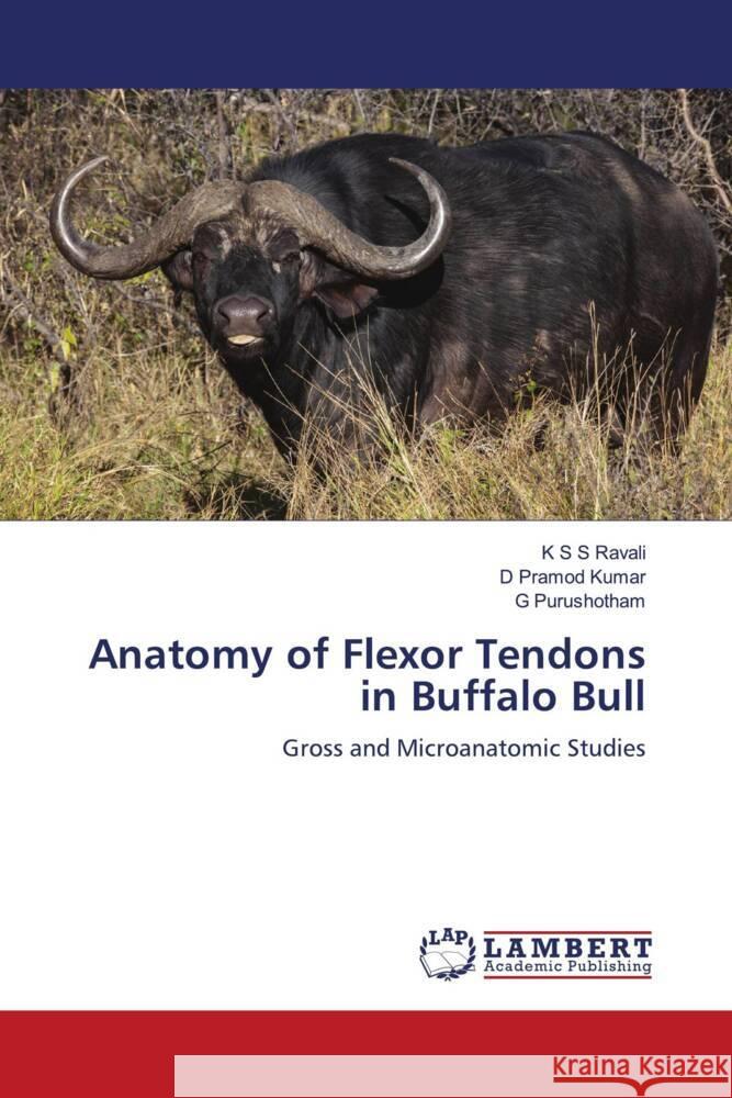 Anatomy of Flexor Tendons in Buffalo Bull Ravali, K S S, Pramod Kumar, D, Purushotham, G 9786204726984