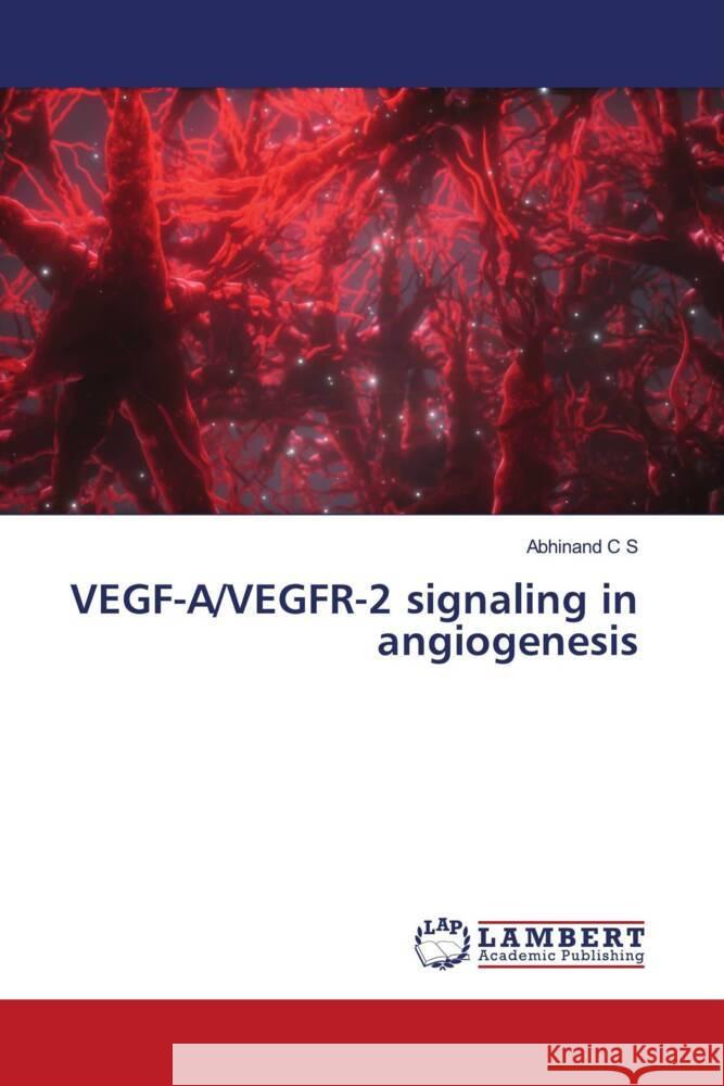 VEGF-A/VEGFR-2 signaling in angiogenesis C S, Abhinand 9786204741307