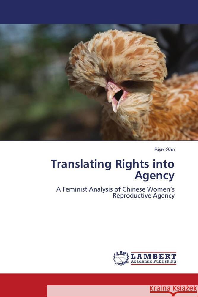 Translating Rights into Agency Gao, Biye 9786204752372 LAP Lambert Academic Publishing