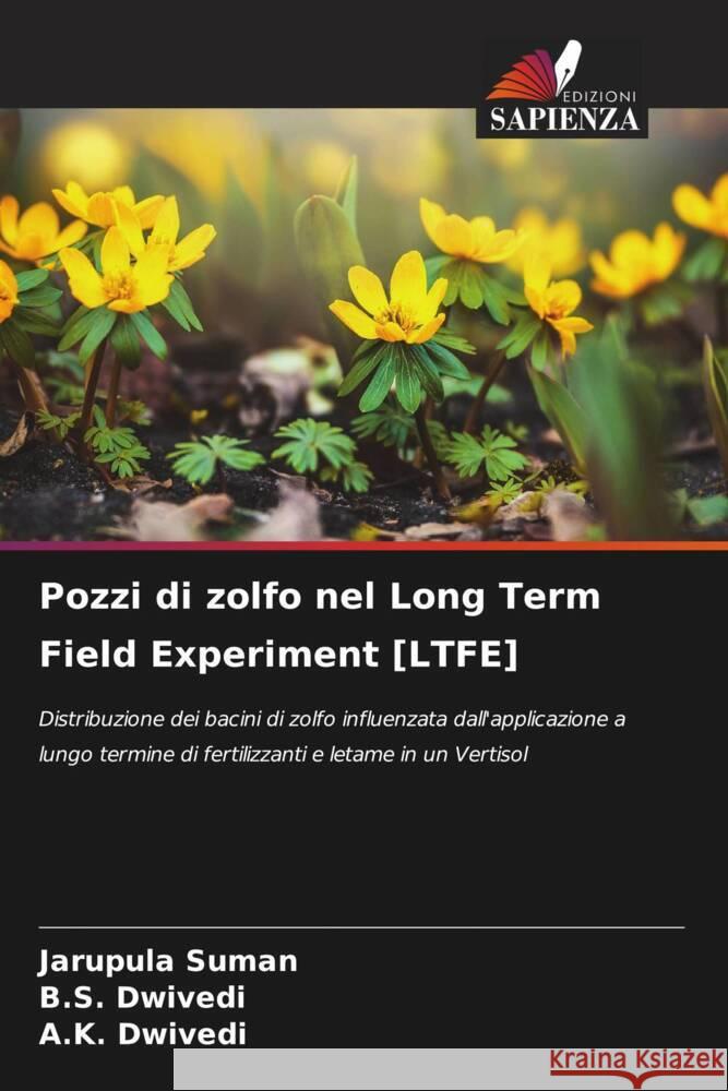 Pozzi di zolfo nel Long Term Field Experiment [LTFE] Suman, Jarupula, Dwivedi, B.S., Dwivedi, A.K. 9786204758534 Edizioni Sapienza