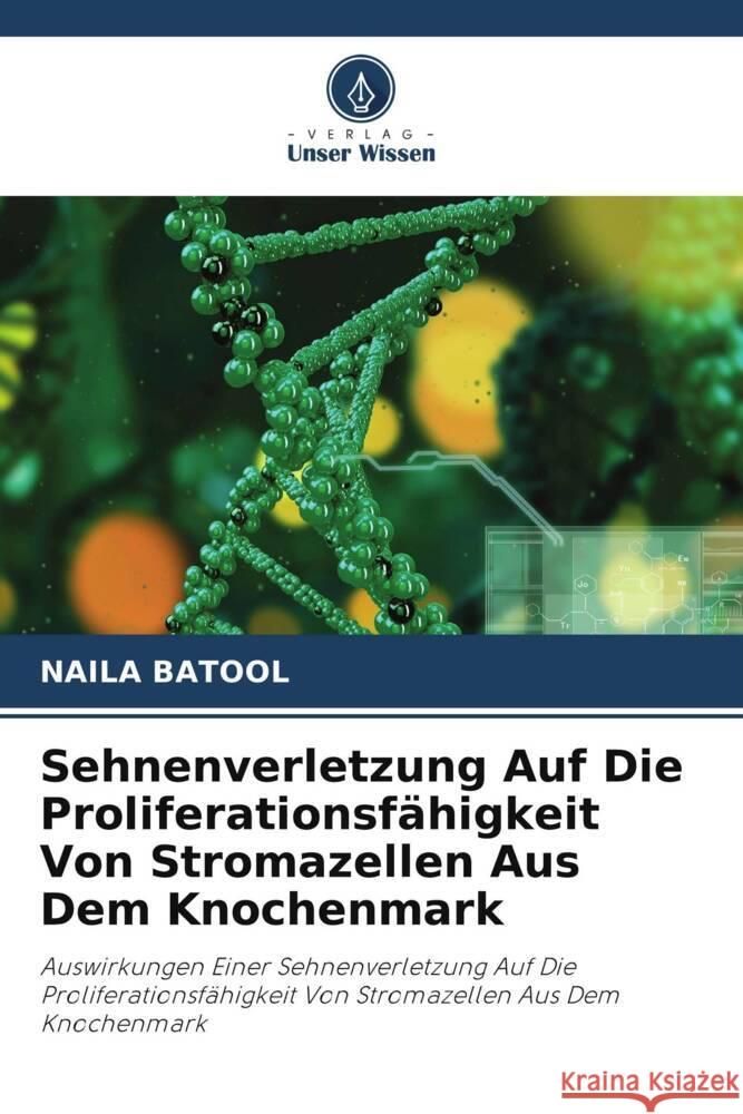 Sehnenverletzung Auf Die Proliferationsfähigkeit Von Stromazellen Aus Dem Knochenmark Batool, Naila 9786204760759