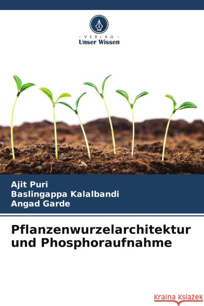 Pflanzenwurzelarchitektur und Phosphoraufnahme Puri, Ajit, Kalalbandi, Baslingappa, Garde, Angad 9786204779027 Verlag Unser Wissen